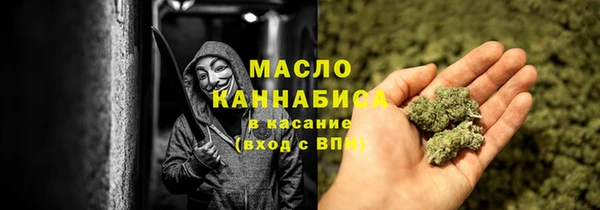 индика Балабаново
