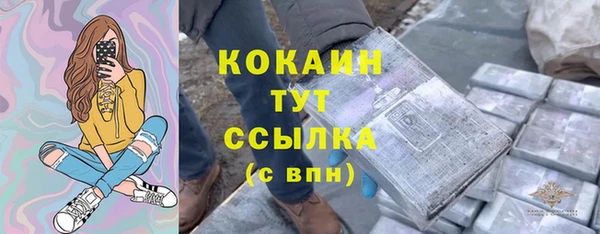 индика Балабаново