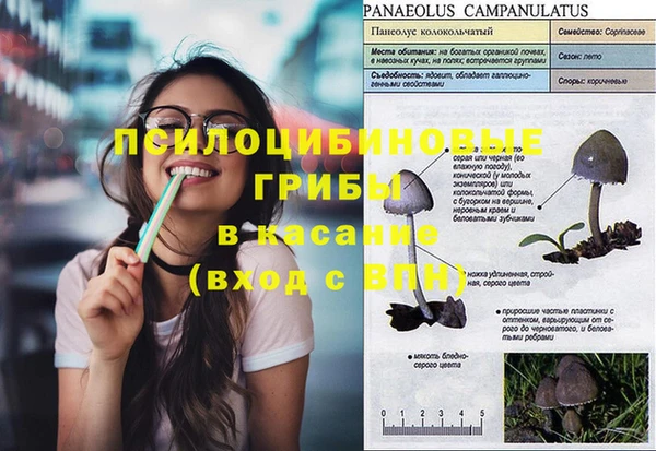 индика Балабаново