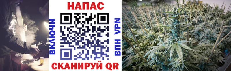 Каннабис ГИДРОПОН  где продают   Белебей 